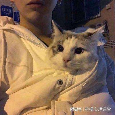 第九所内购破解版下载