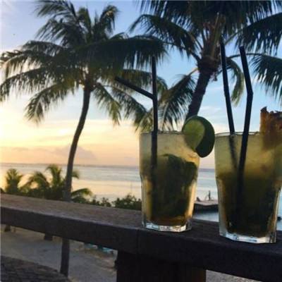 头号海贼王bt版下载